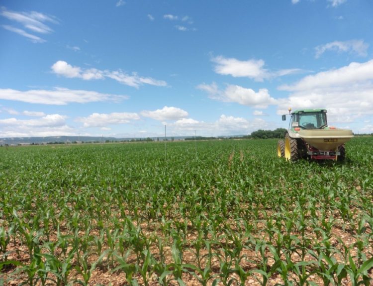 Fertilizantes inteligentes en Ejea de los Caballeros